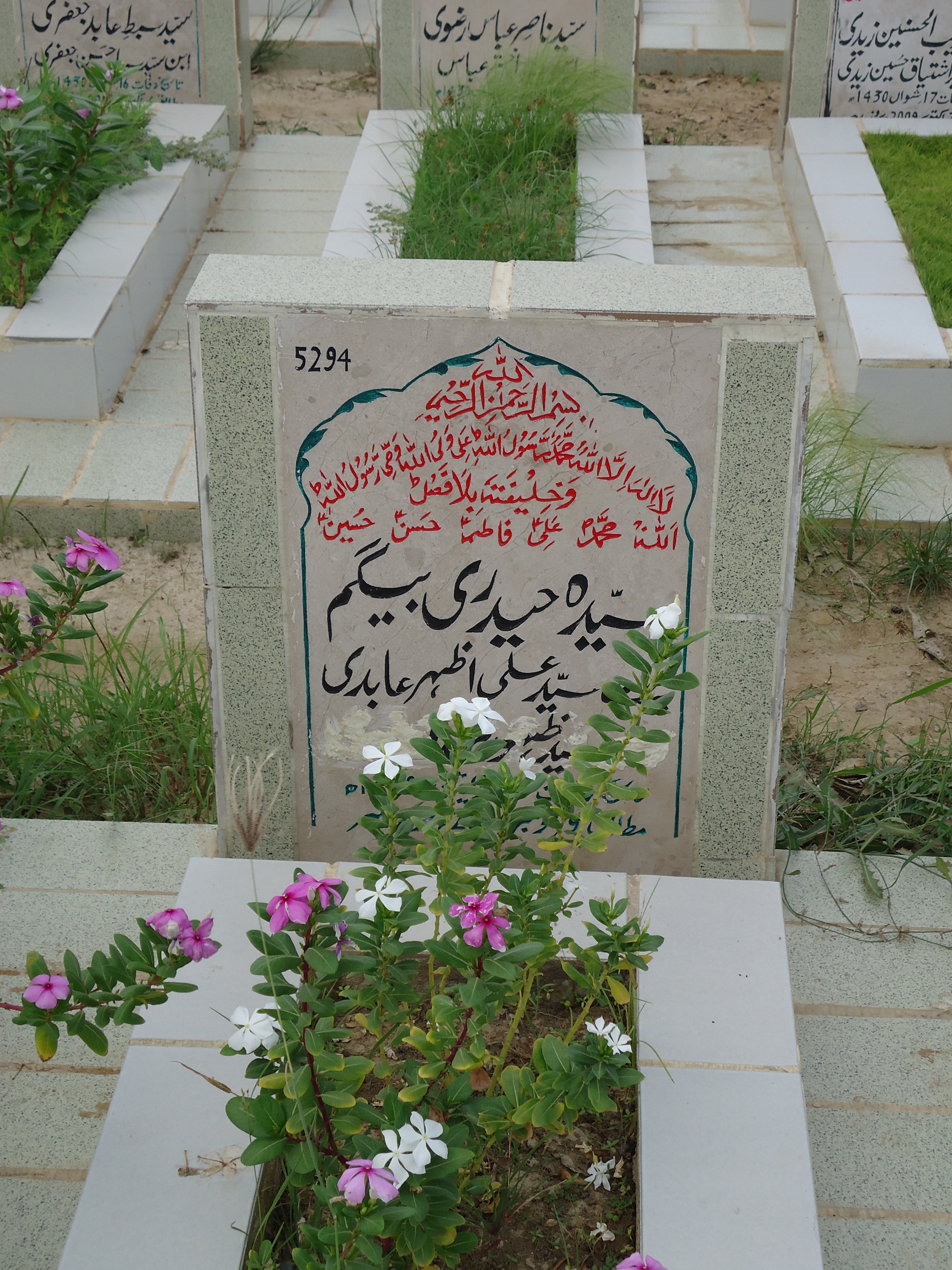 5294 – Syeda Haidery Begum